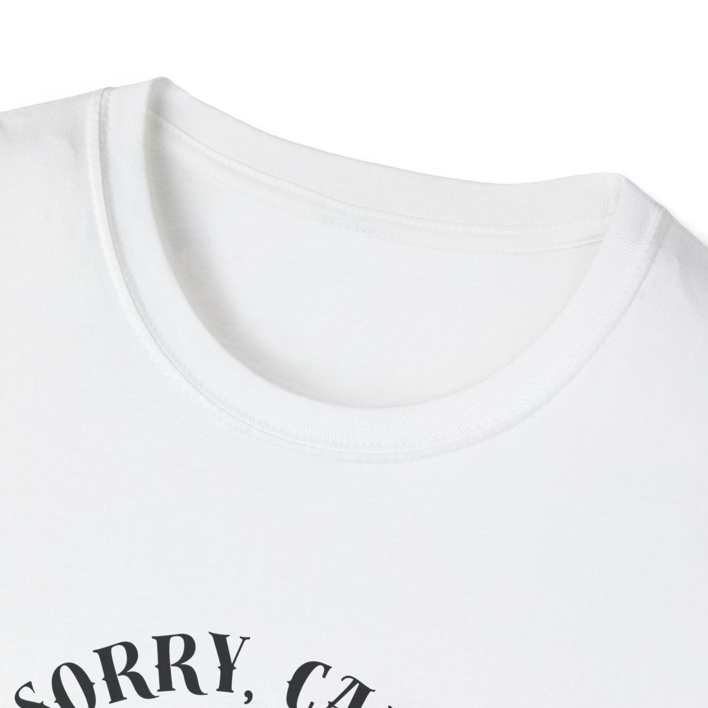 Copy of Introverting Cat T-Shirt