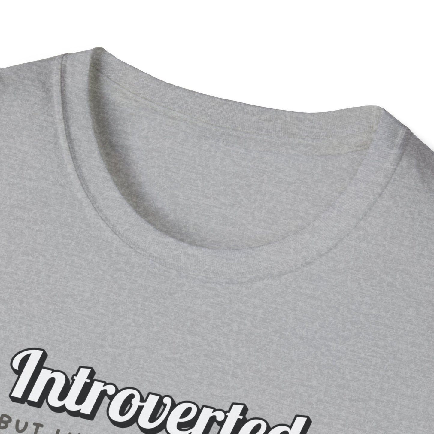Willing To Discuss Cats T-Shirt