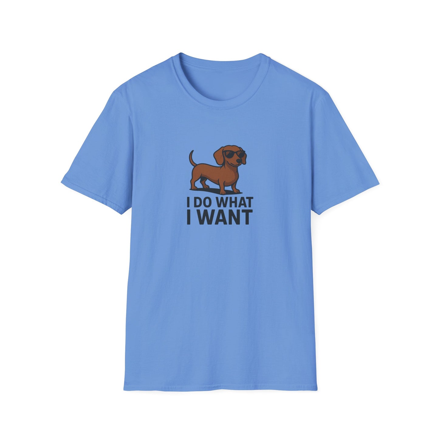 I Do What I Want T-Shirt