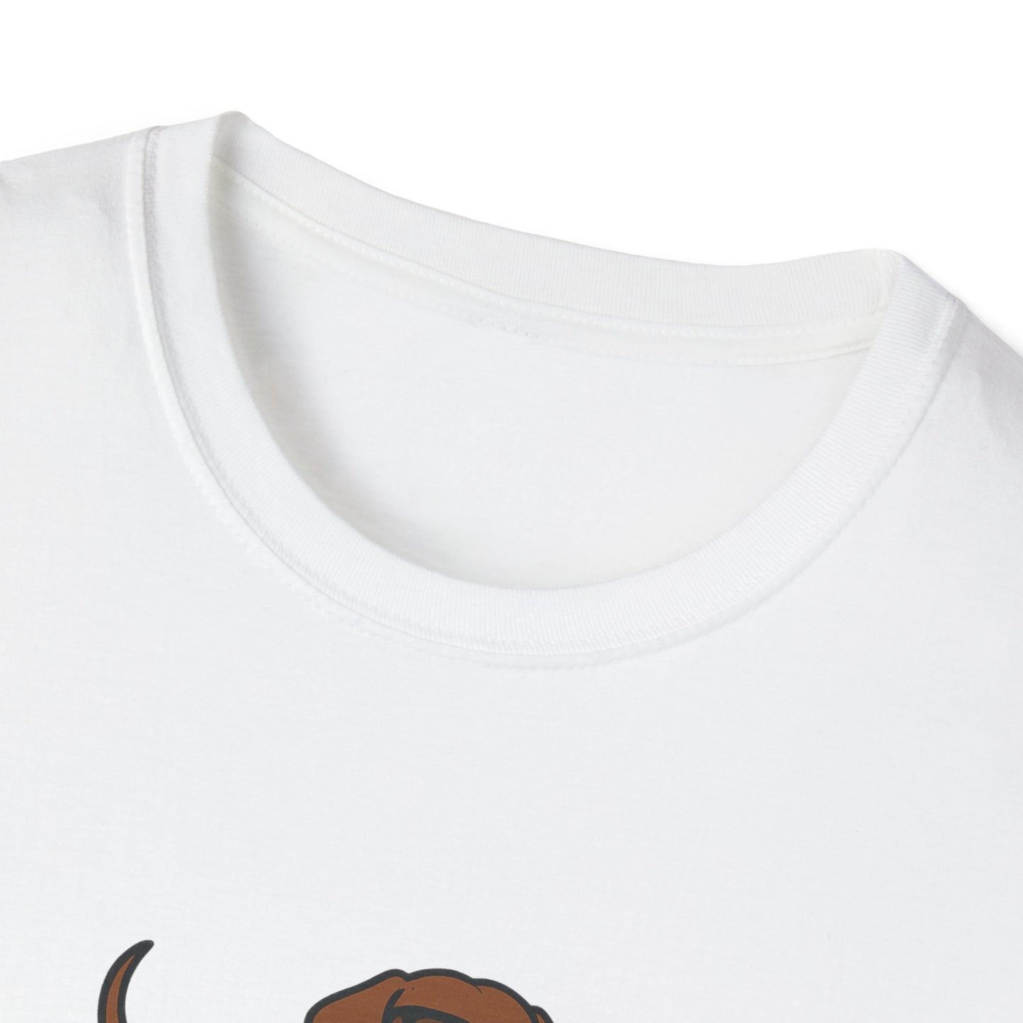 I Do What I Want T-Shirt