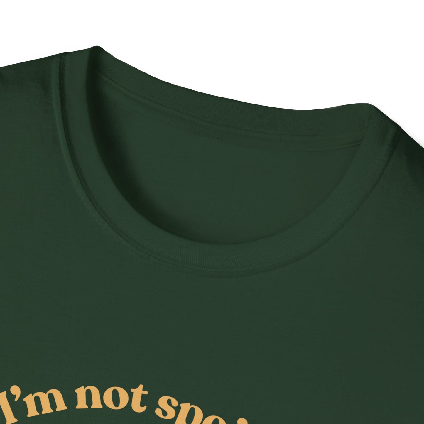 I'm Not Spoiled T-Shirt