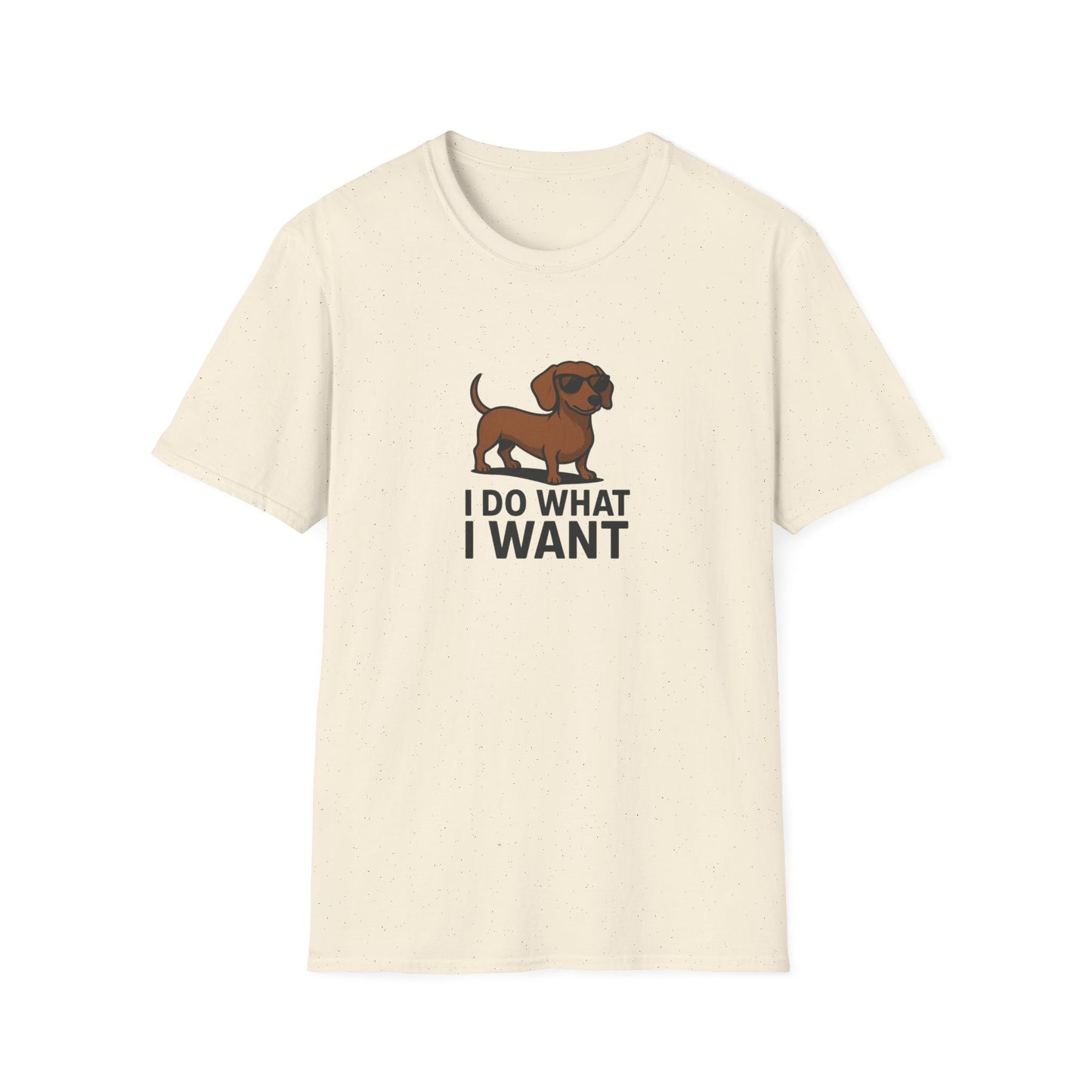 I Do What I Want T-Shirt