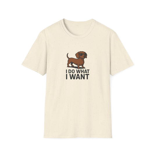 I Do What I Want T-Shirt