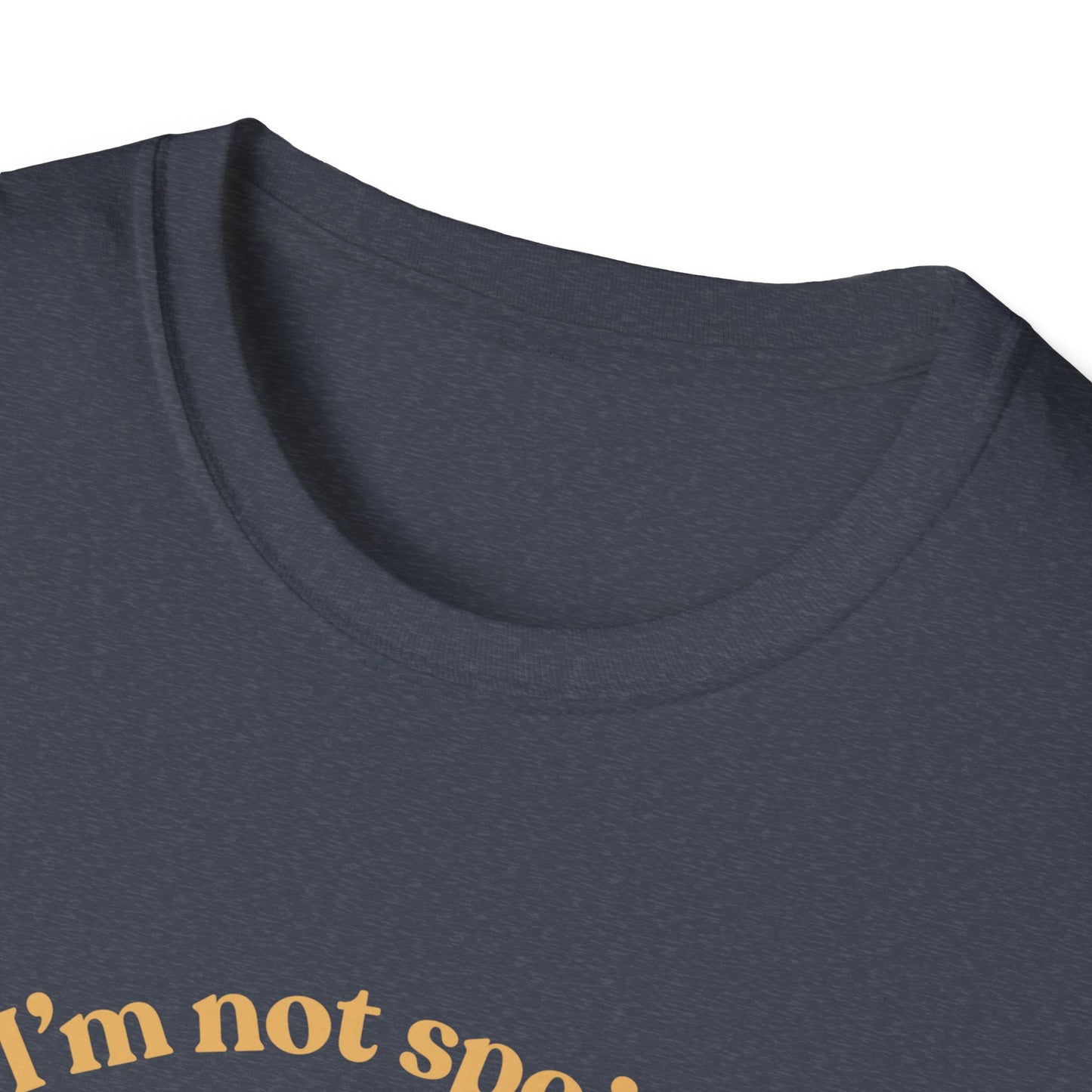 I'm Not Spoiled T-Shirt