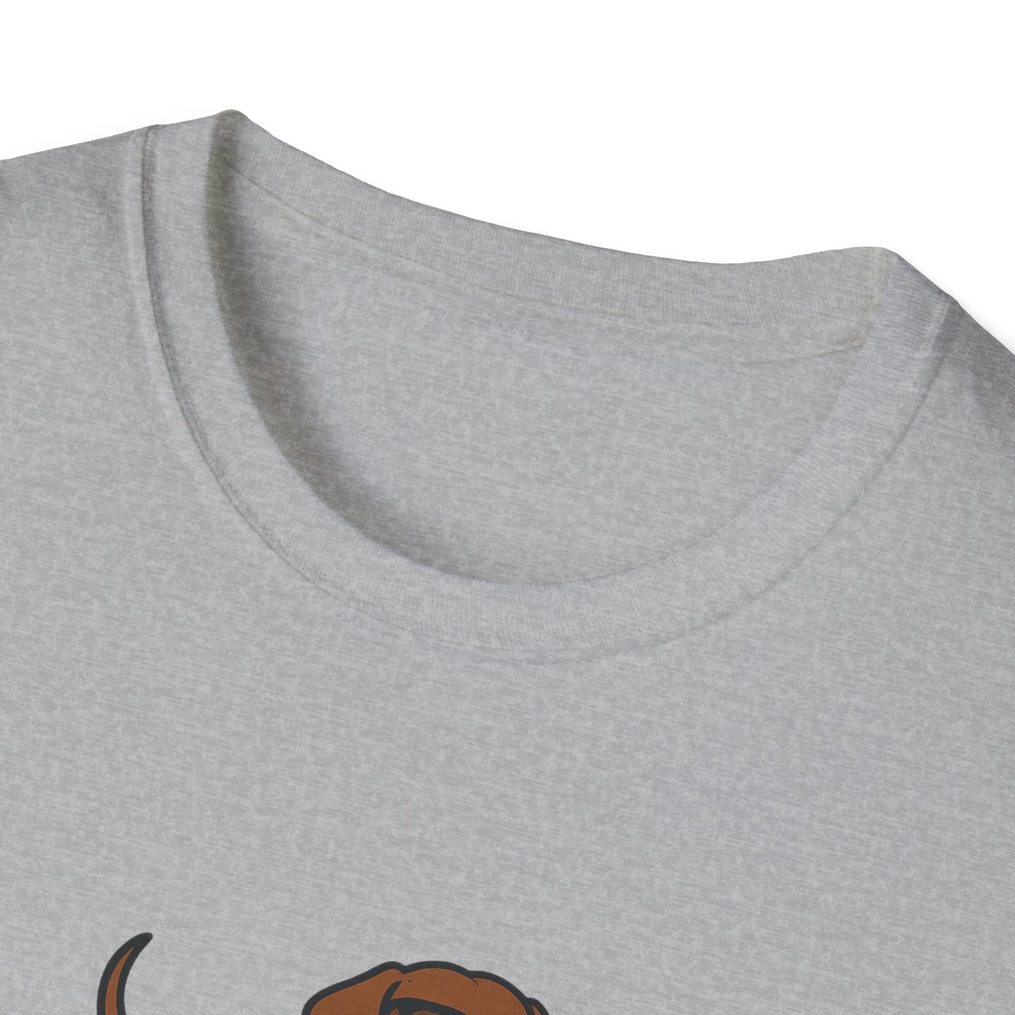I Do What I Want T-Shirt