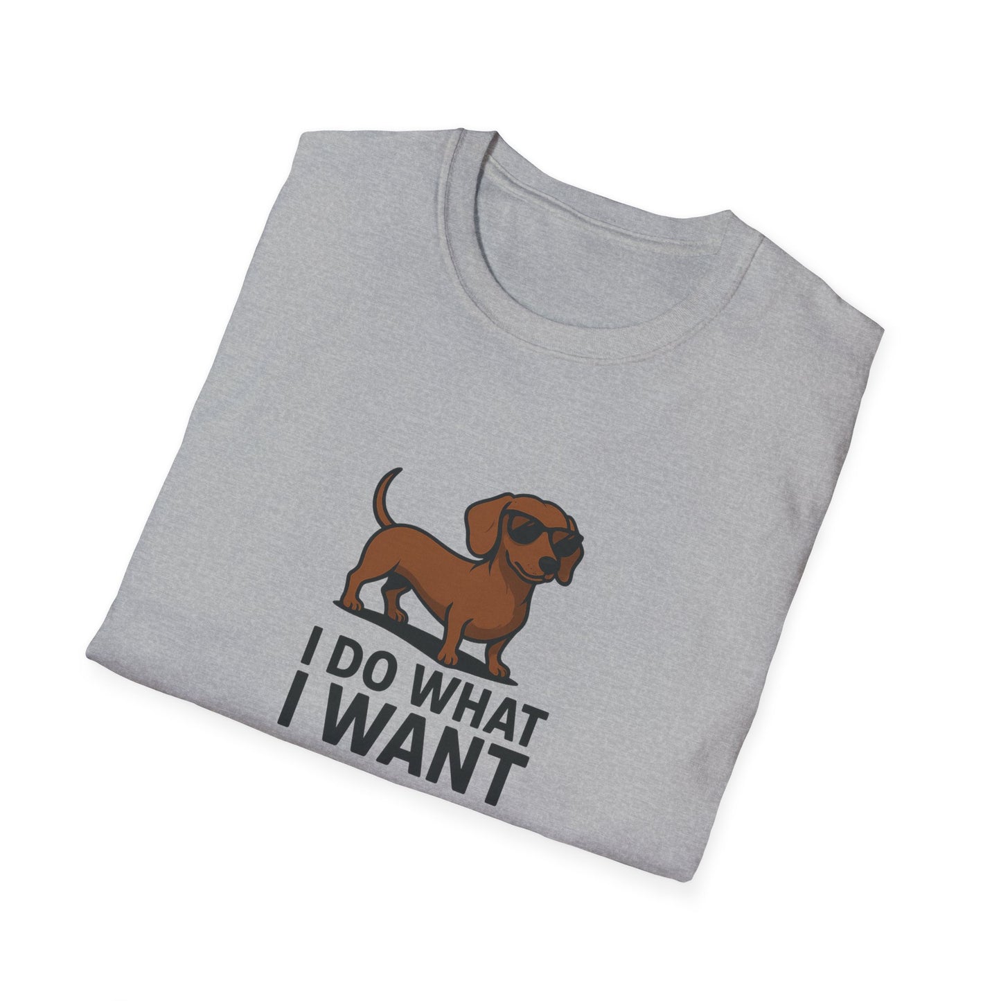 I Do What I Want T-Shirt