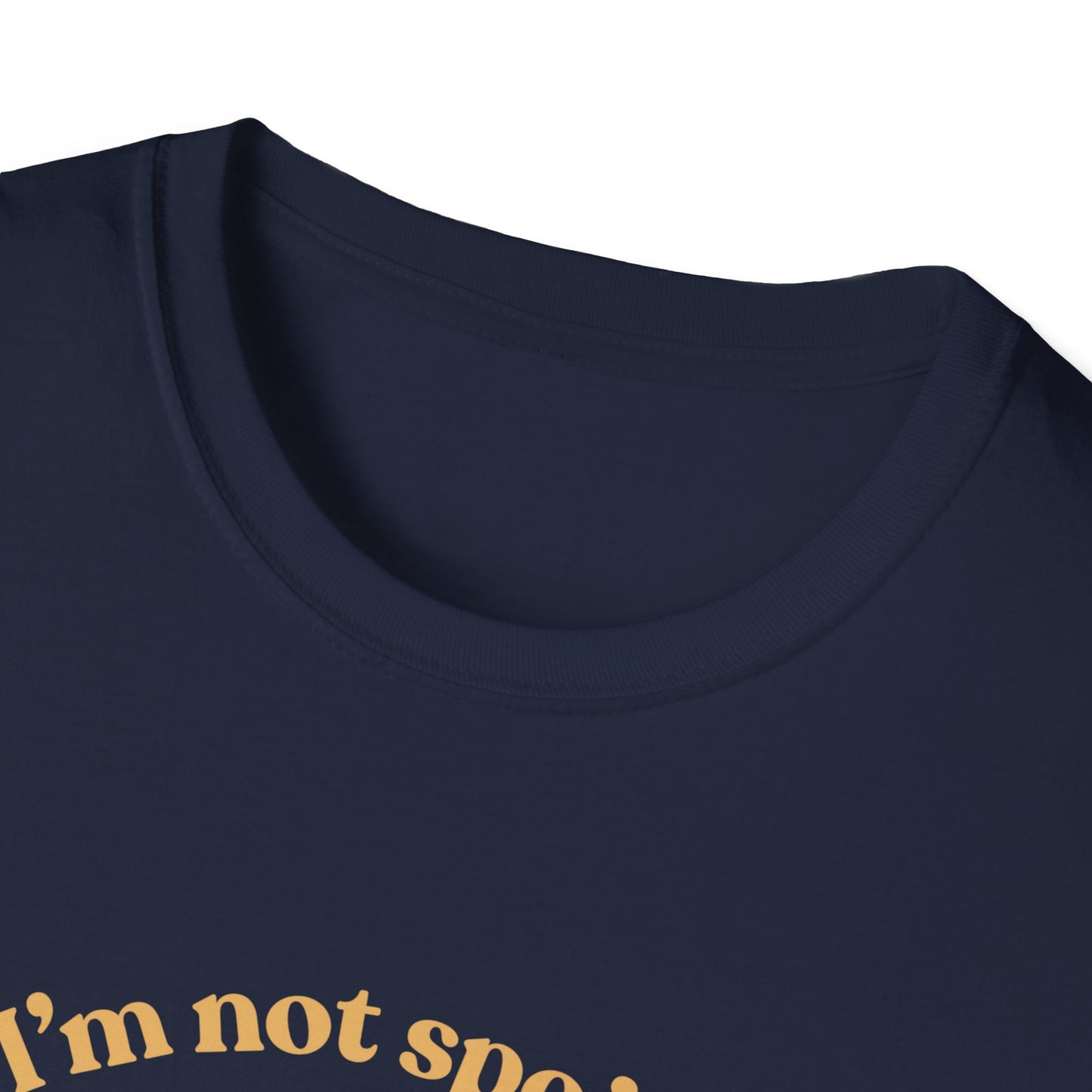 I'm Not Spoiled T-Shirt