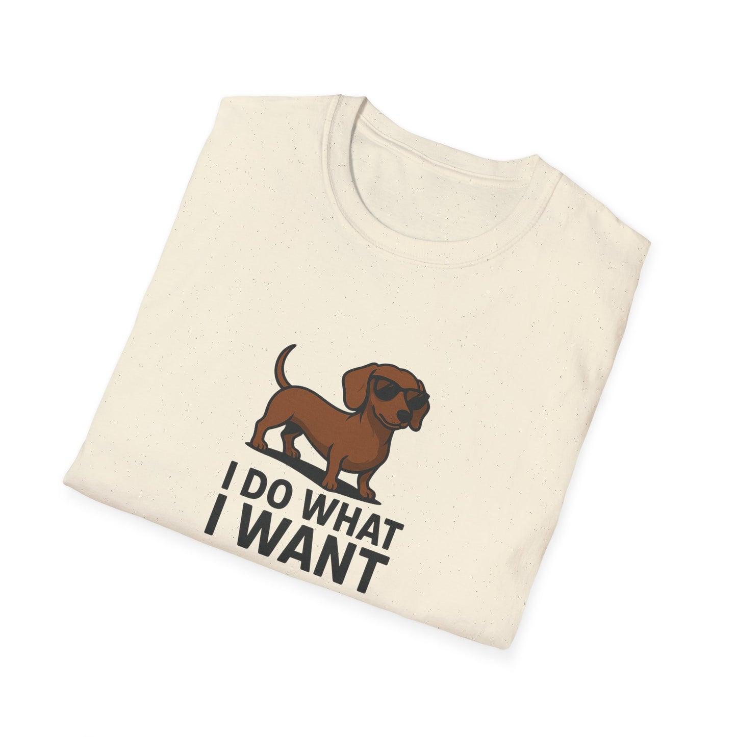 I Do What I Want T-Shirt