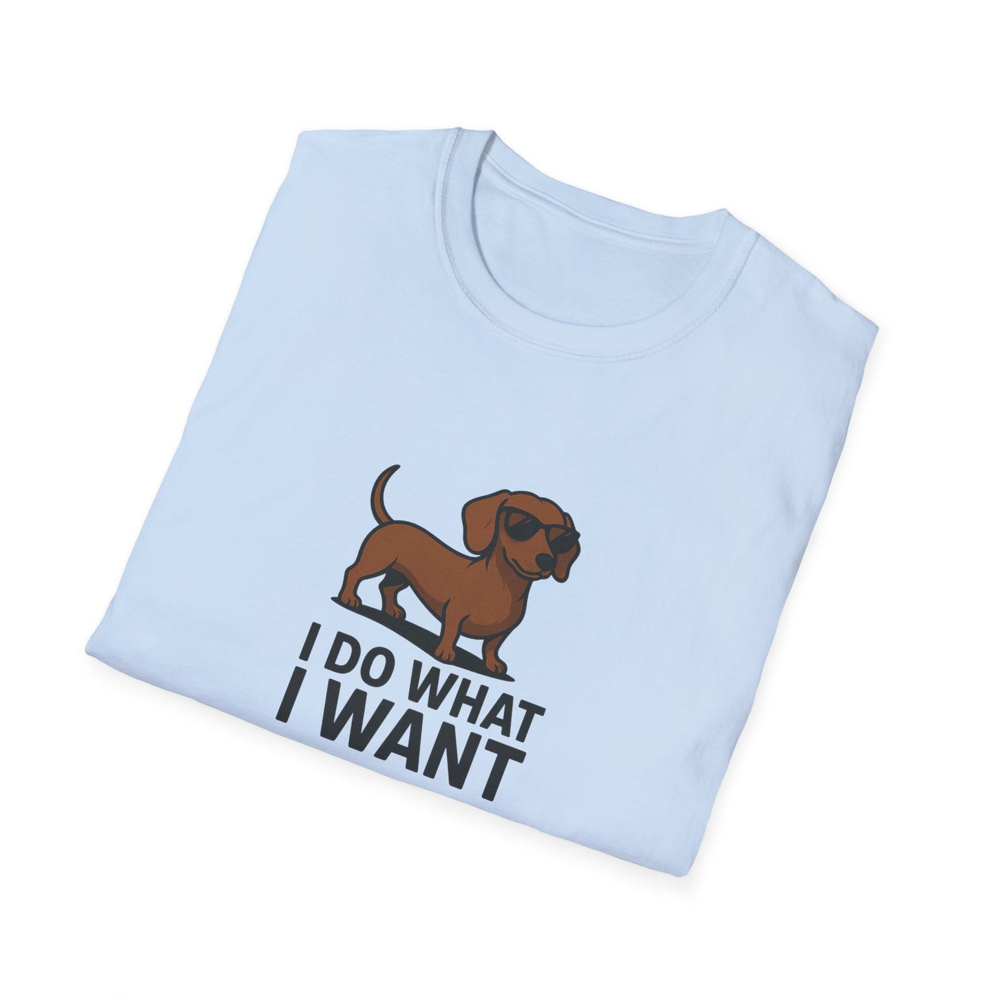 I Do What I Want T-Shirt