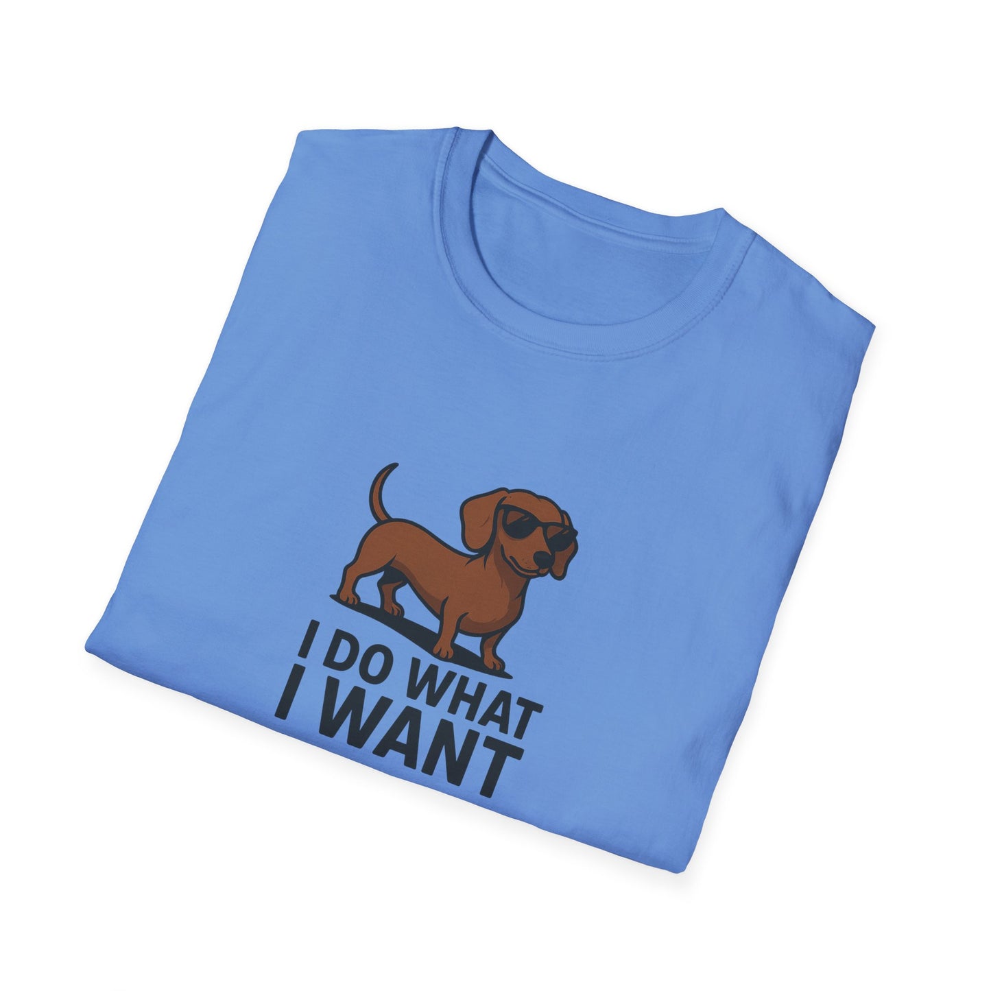 I Do What I Want T-Shirt