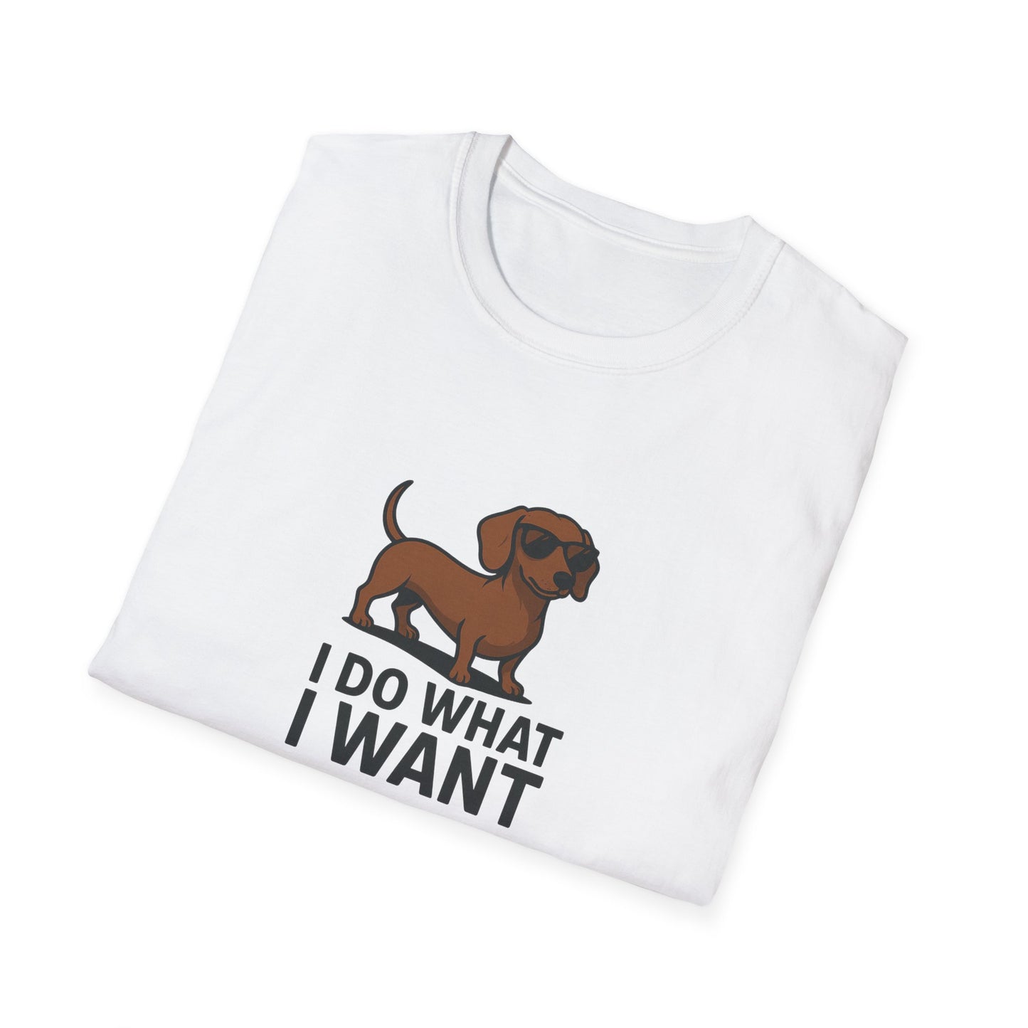 I Do What I Want T-Shirt