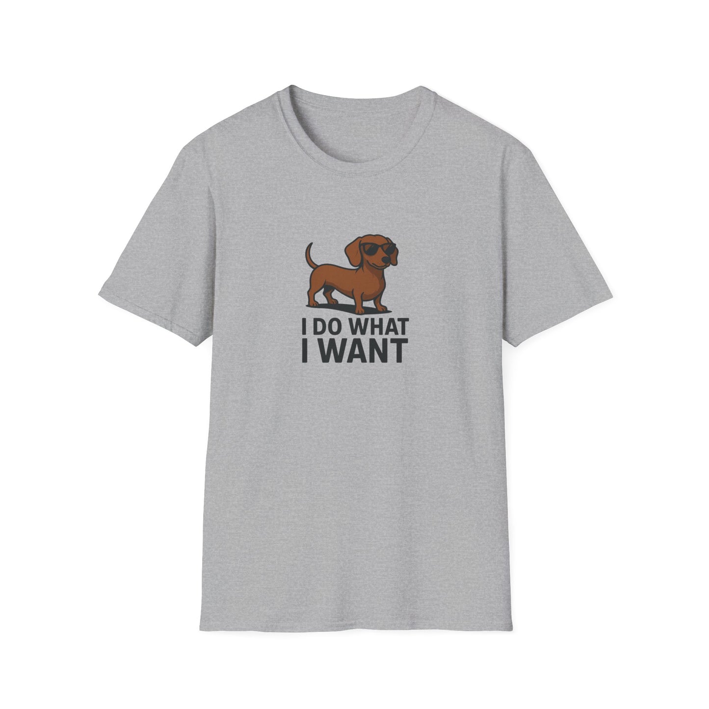 I Do What I Want T-Shirt