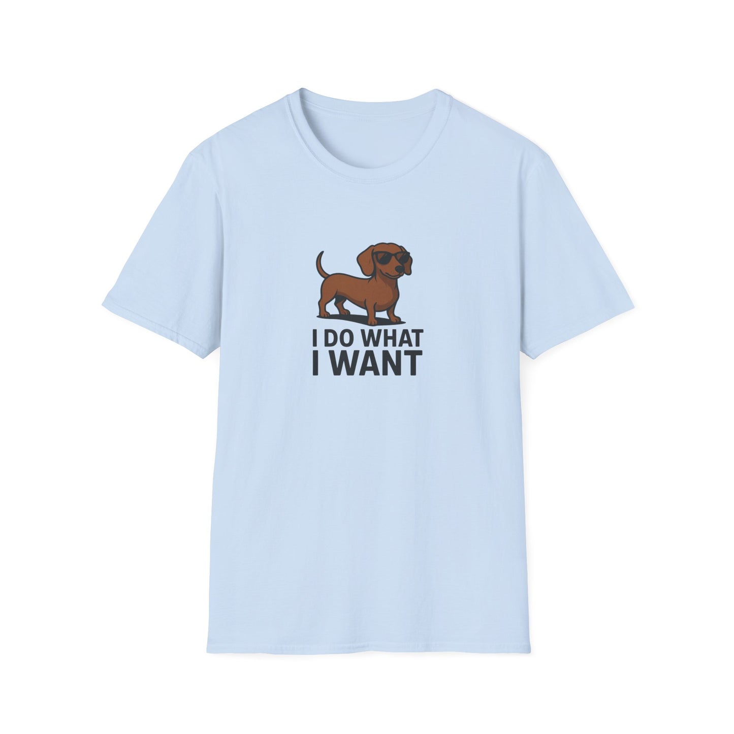 I Do What I Want T-Shirt