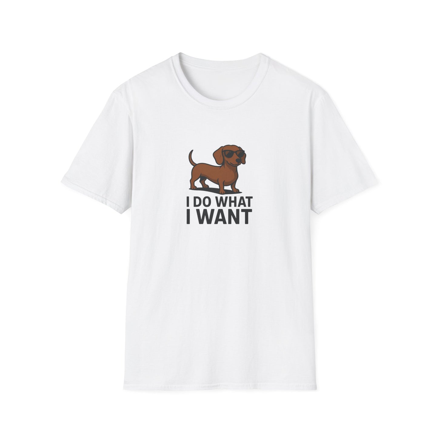 I Do What I Want T-Shirt