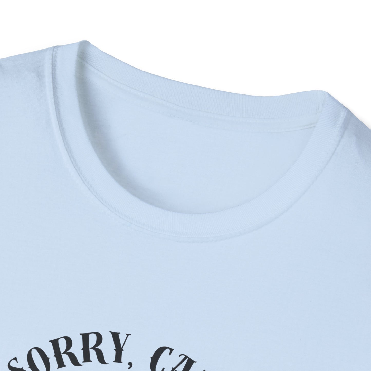 Copy of Introverting Cat T-Shirt
