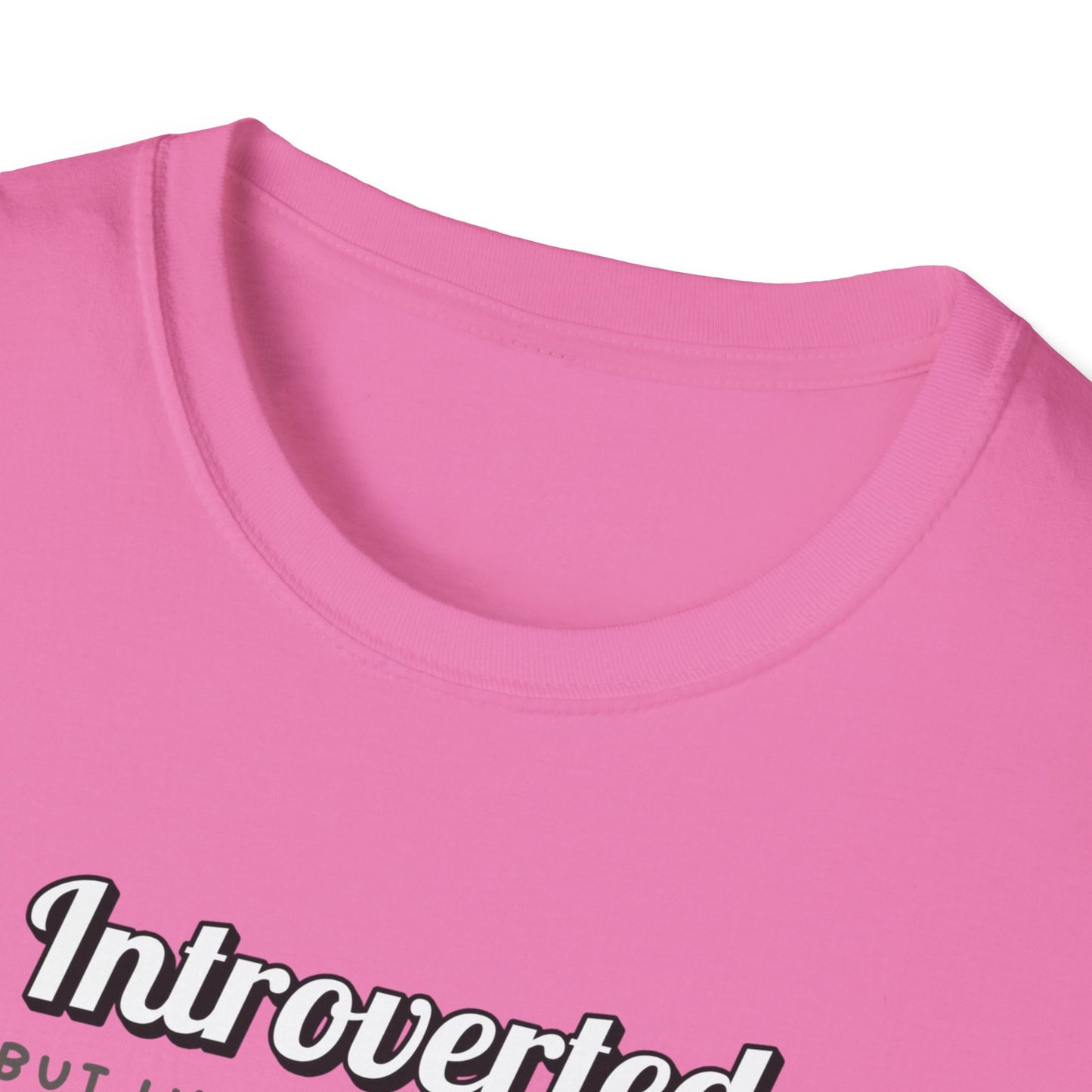 Willing To Discuss Cats T-Shirt