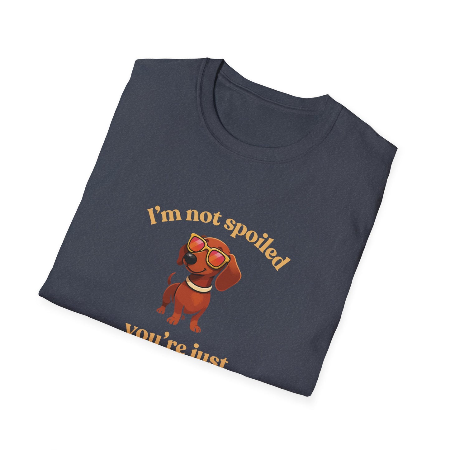 I'm Not Spoiled T-Shirt