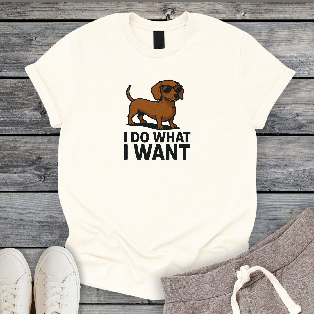I Do What I Want T-Shirt