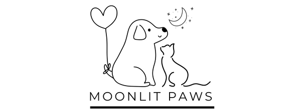 Moonlit Paws