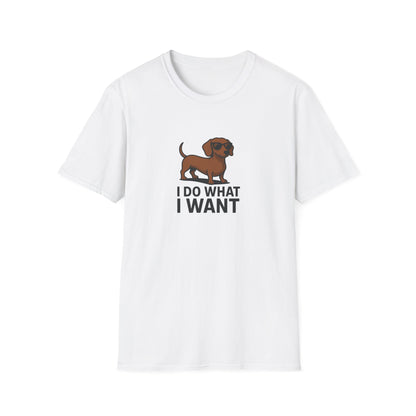 I Do What I Want T-Shirt
