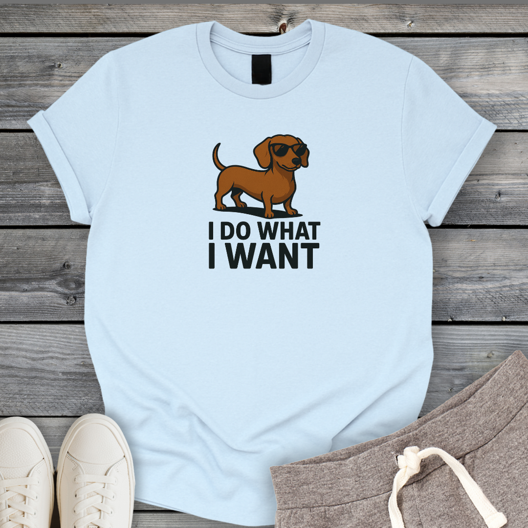 I Do What I Want T-Shirt