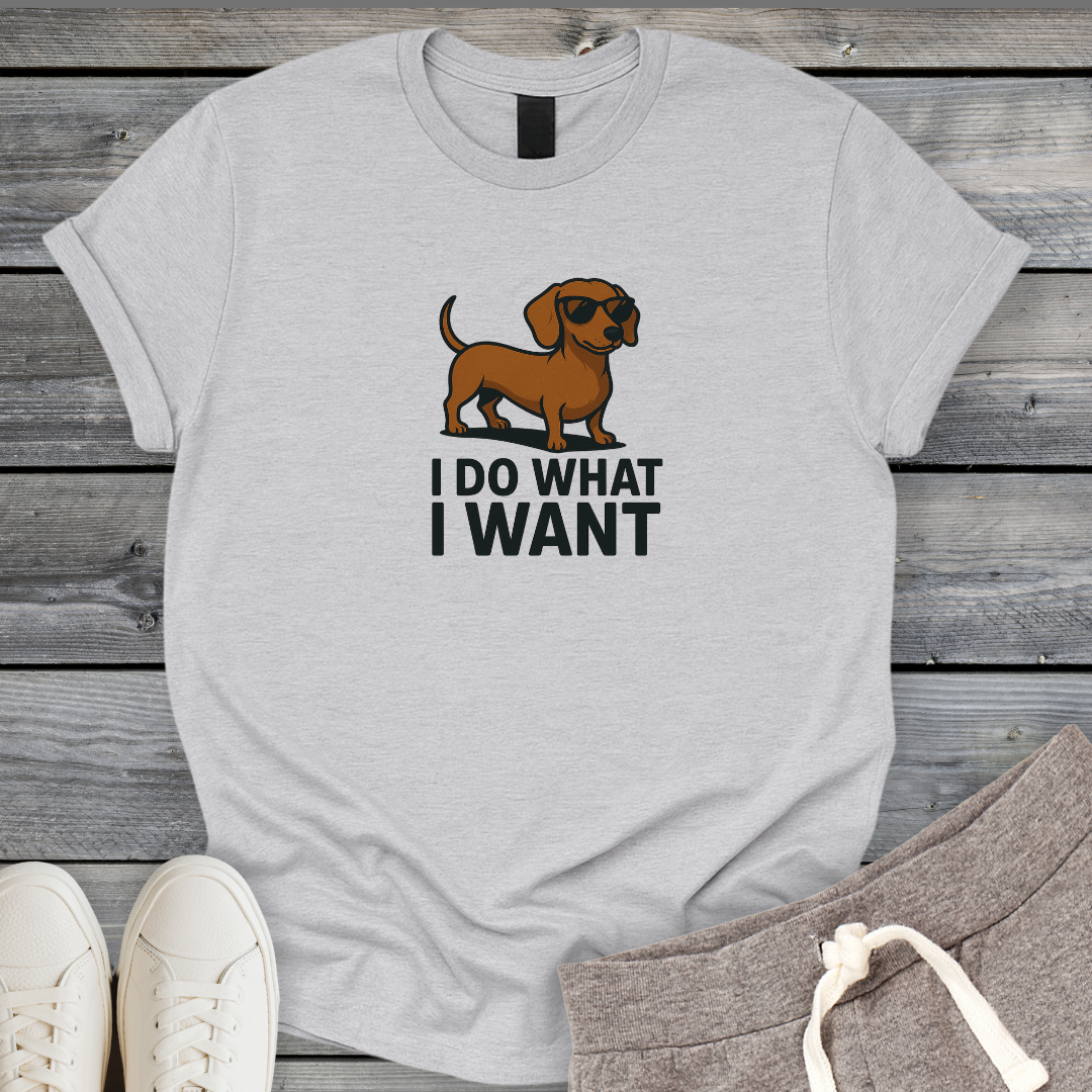 I Do What I Want T-Shirt