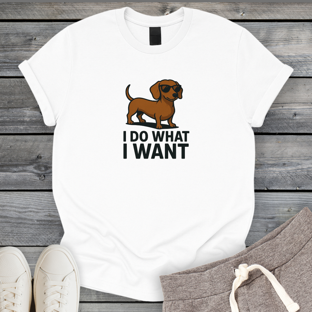 I Do What I Want T-Shirt